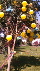 IMG_20140729_125336_065