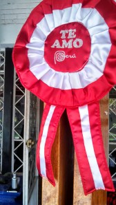 IMG_20140729_125452_911