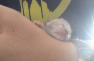 IMG_20141009_142222_810