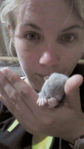 IMG_20141009_181537_067