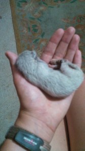 IMG_20141009_181550_304