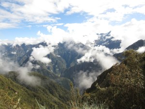 IMG_3530